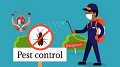 Dera Pest Control